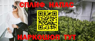 гашик Будённовск