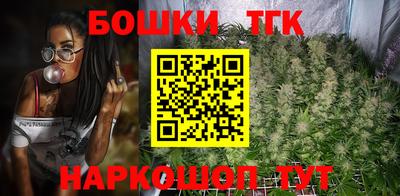 гашик Будённовск