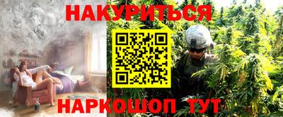 гашик Будённовск