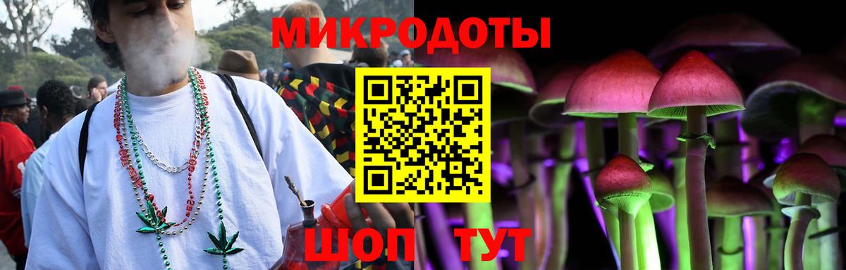 Псилоцибиновые грибы Cubensis Омск